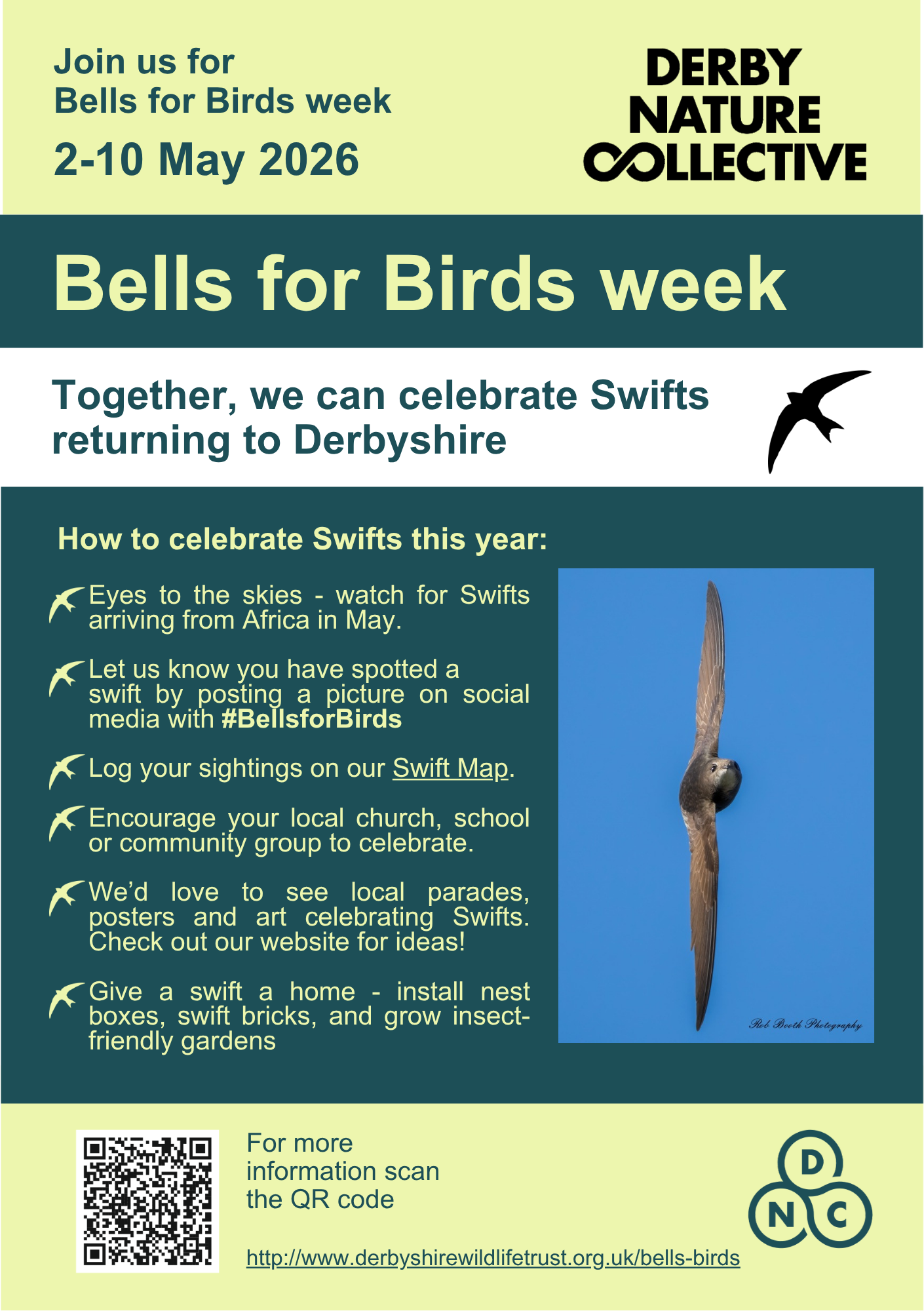 Bells for Birds week Together, we can celebrate Swifts returning to Derbyshire